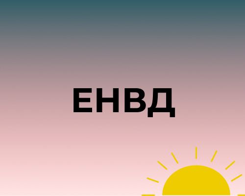 Единый налог на вмененный доход Единый налог на вмененный доход